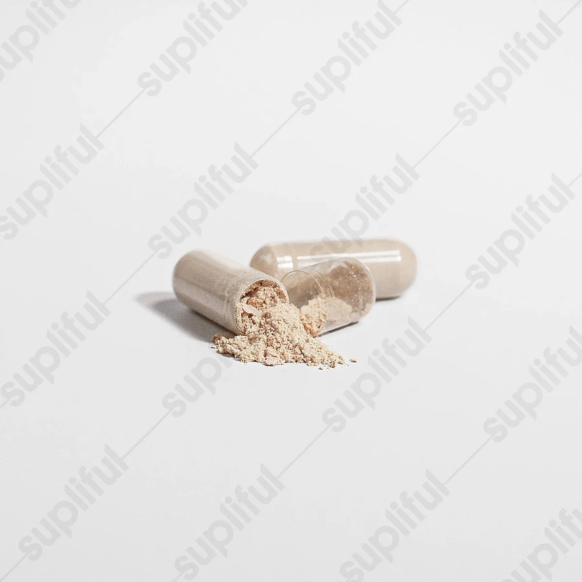 Cordyceps Mushroom - Image 5