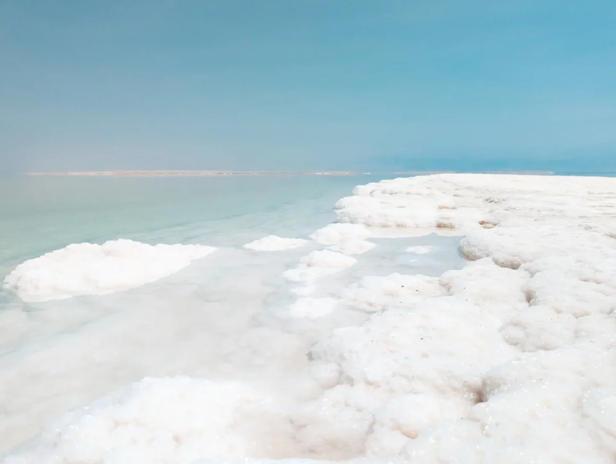 Organic Body Scrub with Dead Sea Salt & Shea Butter - Image 2
