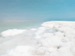Organic Body Scrub with Dead Sea Salt & Shea Butter - Image 2