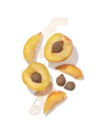 MASAMI Mekabu Hydrating Shampoo - Botanical Hydration for Healthy Hair - Image 10