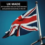 Great Taste Tea Bundle - Award-Winning Blends for a Delightful Tea Experience - Image 6