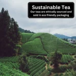 Great Taste Tea Bundle - Award-Winning Blends for a Delightful Tea Experience - Image 7