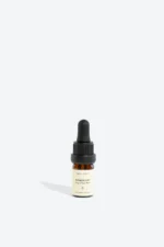 Buy ROSEMARY Essential Oil - High Quality, Organic, Aromatherapeutic - Image 3