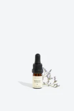 Buy ROSEMARY Essential Oil - High Quality, Organic, Aromatherapeutic