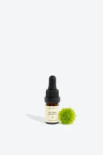 TEA TREE Essential Oil - Natural Aromatherapy and Magical Blends
