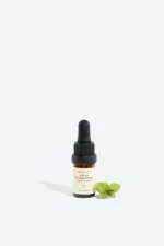 ATLAS CEDARWOOD essential oil - Image 2