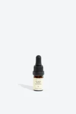 JUNIPER WOOD essential oil - Image 3