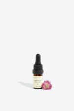 PETITGRAIN Essential Oil - Magical Aromatherapeutic Blends and Recipes - Image 2
