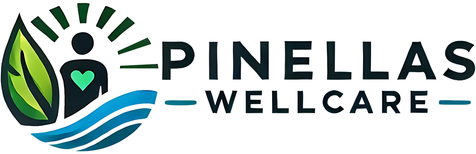 Logo - Pinellas WellCare